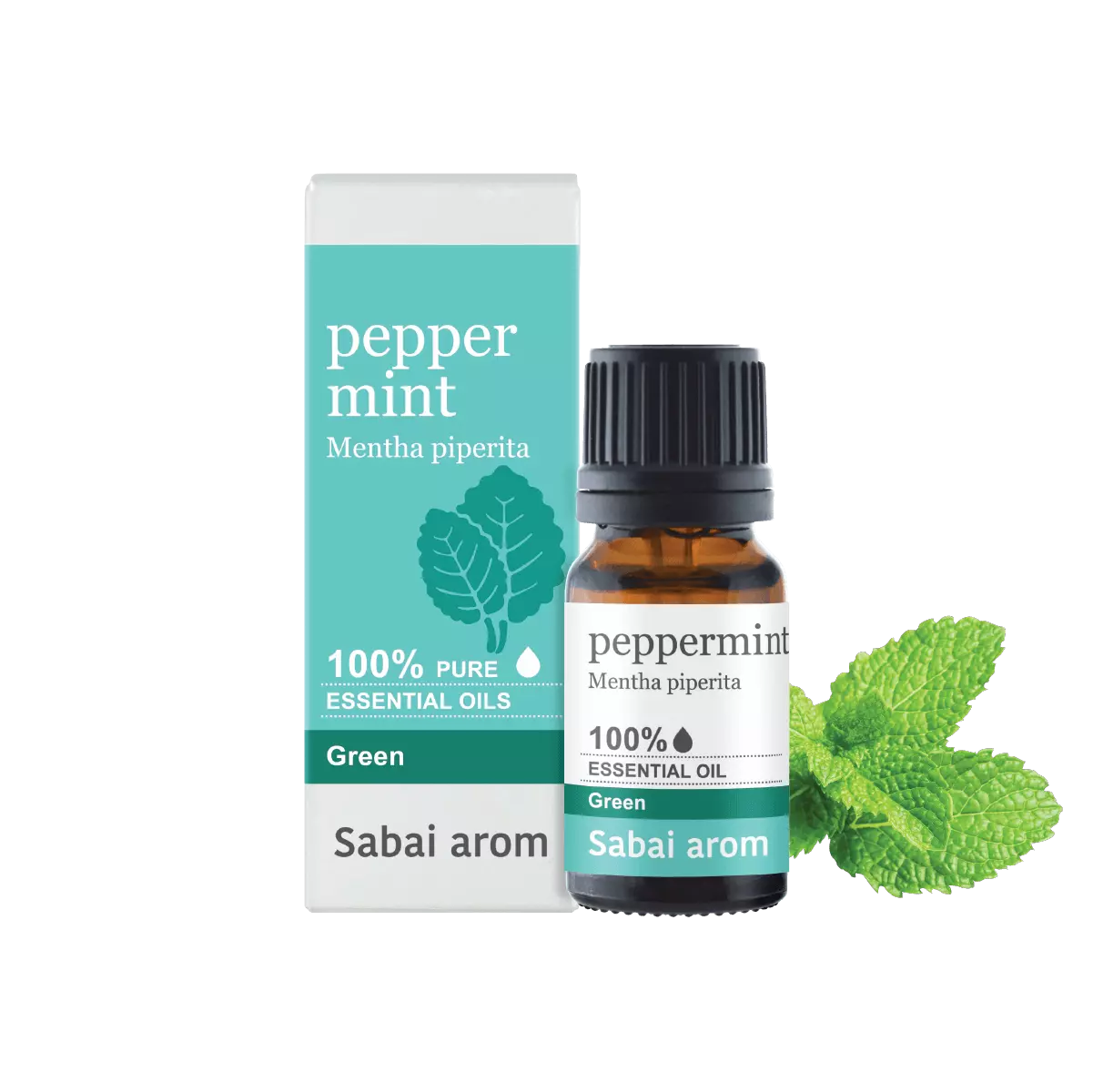 essential oil peppermint <h2>100% Pure Essential Oil</h2> <em><strong>Mentha Piperita</strong></em> <strong>Source : </strong>England Peppermint is one of the most beloved and multi-purpose essential oil next to Lavender oil, and is used widely in cosmetic, consuming products and perfumery. The invigorating and minty aroma comparable to menthol of Peppermint is cherished by many for its wide range therapeutic benefits. It can impel negative moods and nervous disorders, while energizing one to move forward with positivity. Physically, when used with carrier oil, it can heal digestion and abdominal discomfort and relieves sore muscles. If you have respiratory issues like stuffy nose, Peppermint oil will unblock the congestion and help you breathe easier. <strong>Scent : </strong>Strong penetrating, fresh, sweet, medicinal and herbal note. <strong>Family : </strong>Fresh Herbal <strong>Note : </strong>Top