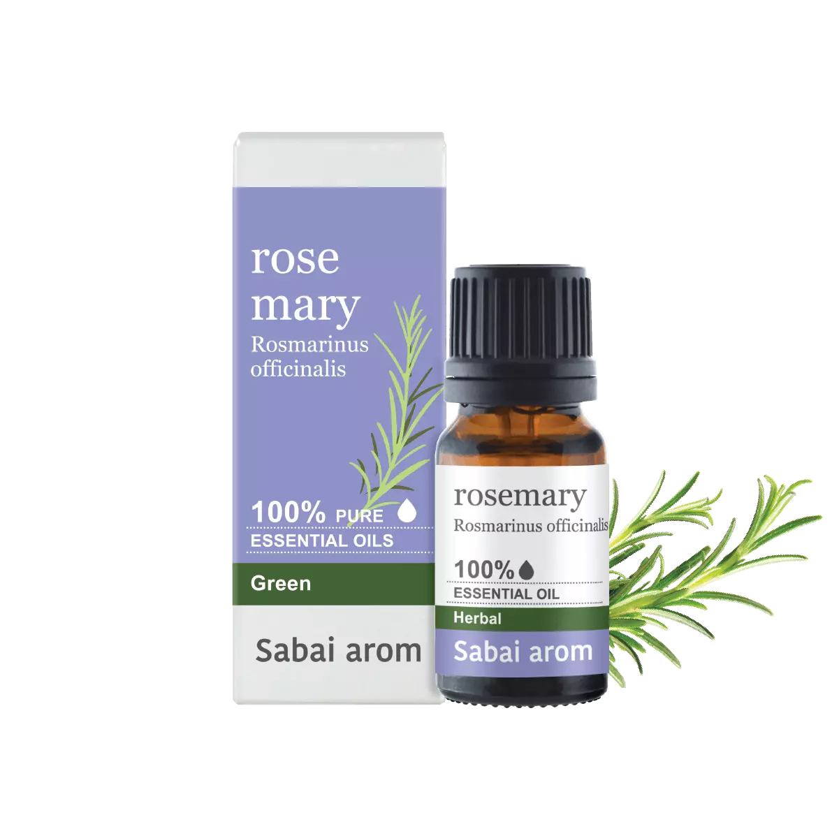 essential oil rosemary <h2>100% Pure Essential Oil</h2> <em><strong>Rosmarinus Officinalis Ct.verbenone</strong></em> <strong>Source : </strong>France In ancient Greek, Roman, Egyptian and Hebrew civilizations, Rosemary, a fragrant herb in the same family as Lavender and Sage, was bound to people in almost every aspect of life; from religion to festival, culinary and aromatherapy. It imparts a wonderful aroma of being pungent, camphorous, woody, refreshing and stimulating all in one. The sensorial effect of Rosemary strengthens our memory and supports our clear thinking. Thus, it is the right essential oil that can be used as a student buddy. When mixed with carrier oil and applied topically, Rosemary essential oil relieves our abdominal pain effectively. It enhances our immune system and heals wounded skin. <strong>Scent : </strong>Strong penetrating, fresh, medicinal, herbal and slight sweet. <strong>Family : </strong>Fresh Herb <strong>Note : </strong>Middle