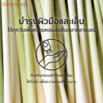 Homegrown Lemongrass Hand Cream 30 g. - Image 2