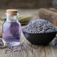 Dried lavender flowers with a bottle of lavender oil