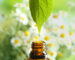 A summer essential oil being dripped into a bottle