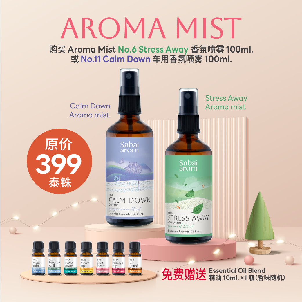 SBA_PROMOTION-08 SBA PROMOTION 08